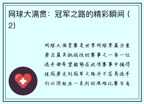 网球大满贯：冠军之路的精彩瞬间 (2)