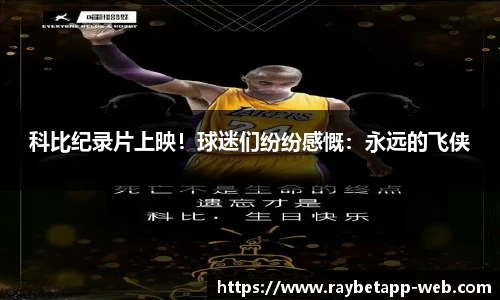 raybet雷竞技平台